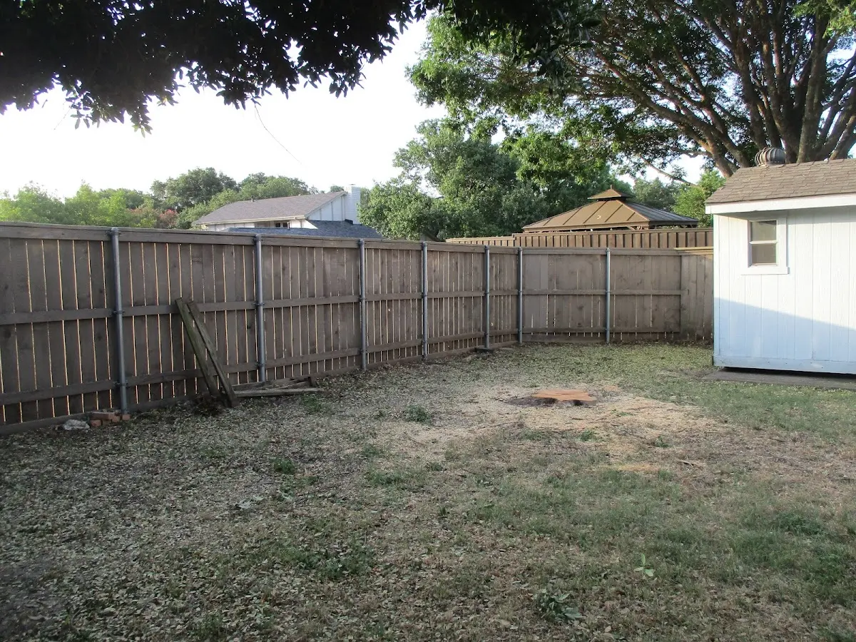 Cleared yard after professional tree removal in Wellsville